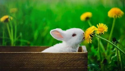 达州伴游，定制QQ：3494206190微信：act1322